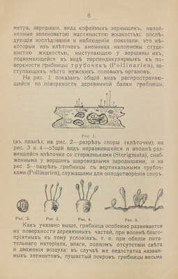 Папенгут А. Домовой гриб, причины появления и развития его в деревянных и каменных постройках... СПб., 1904.